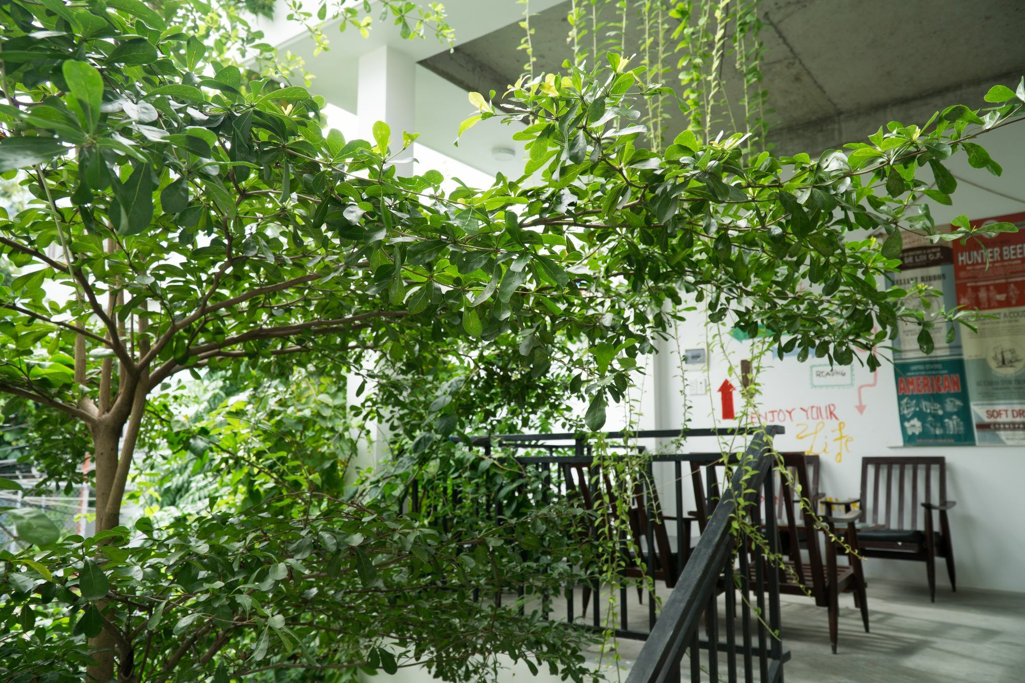 Kiu House - 3Br - Green & Artistic 岘港 外观 照片